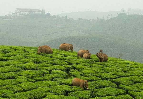 top 10 cooling place in Tamilnadu